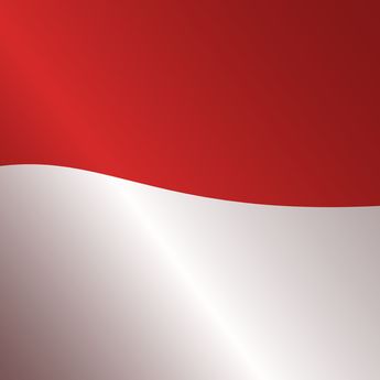 Bangga! 5 Negara Ini Ternyata Pelajari Bahasa Indonesia