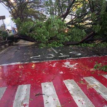 Hujan Deras dan Angin Kencang, Margonda Depok Banjir dan Pohon Tumbang