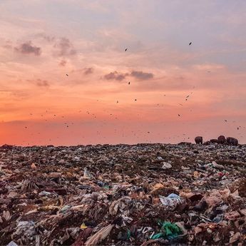 5 Perusahaan Produsen Sampah Plastik Terbesar di Indonesia, Wings, Unilever, Indofood, hingga Mayora.