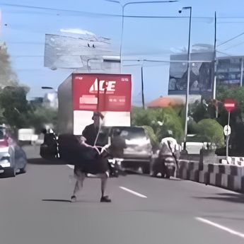 Viral Bule Ngamuk di Jalan dan Pukul Kepala Pengendara Motor