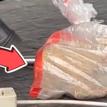 Viral Kucing Dibungkus Plastik Petugas GBK, Pengelola Bilang Gini