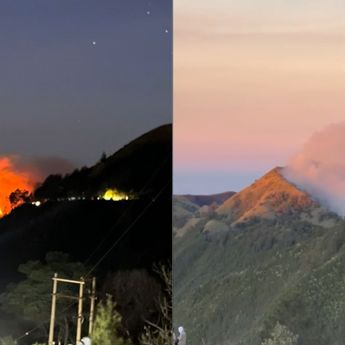 Kawasan Savana Widodaren Gunung Bromo Terbakar, Api Melahap hingga 8 Hektare Lahan