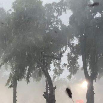 Hujan Lebat Disertai Angin Landa Jakarta, Bikin Panik Warga