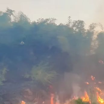 Kebakaran Hebat Melanda Bukit Pasir Paros, Petugas Damkar Dikerahkan