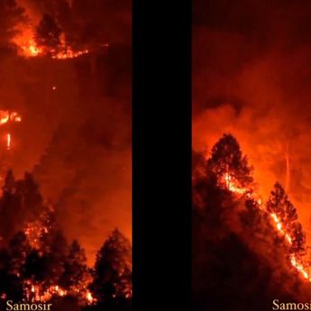 Kebakaran Hebat Melanda Bukit Holbung Samosir, Warga Panik