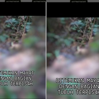 Ngeri! Mayat Ditemukan dengan Tubuh Terpisah di Gunung Pangrango