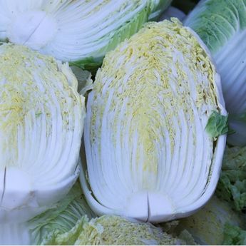 5 Manfaat Tak Terduga Sayur Sawi untuk Kesehatan, Bisa Cegah Kenaikan Berat Badan