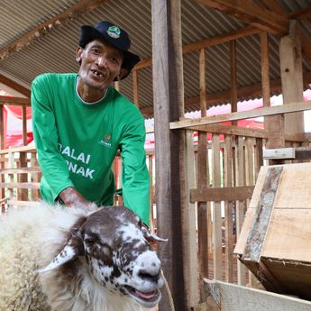 BAZNAS Luncurkan Program Balai Ternak untuk Tingkatkan Kesejahteraan Ekonomi Masyarakat