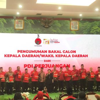 PDIP Umumkan Dukungan ke 13 Cagub dan Ratusan Kepala Daerah, Ada Edy Rahmayadi hingga Adik Zulhas