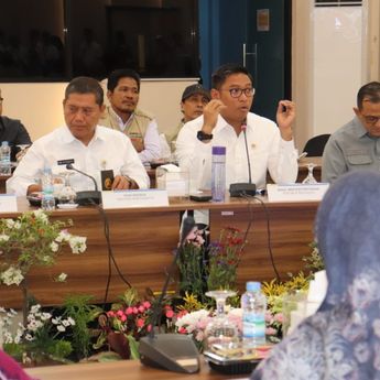 Program Optimasi Lahan di Sumsel Mulai Bergerak, Wamentan Jamin Berjalan Lancar