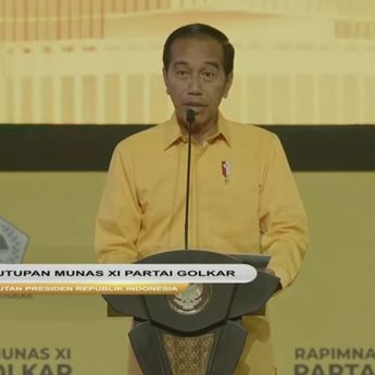 Jokowi: Yang Buat Putusan MK-DPR, yang Disalahkan Tetap Si Tukang Kayu