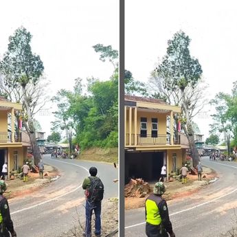 Video Pohon Ditebang Timpa Rumah Warga Sampai Hancur