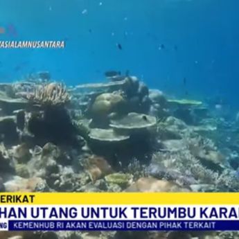 Amerika Serikat Hapus Utang RI, Diganti dengan Pelestarian Terumbu Karang