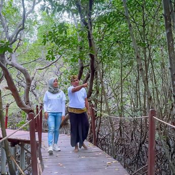 Ekowisata Hutan Mangrove Purba Jerowaru: Bangkitkan Ekonomi Lombok Timur