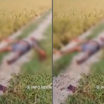 Pria Tewas Mengenaskan di Pinggir Sawah Bersimbah Darah