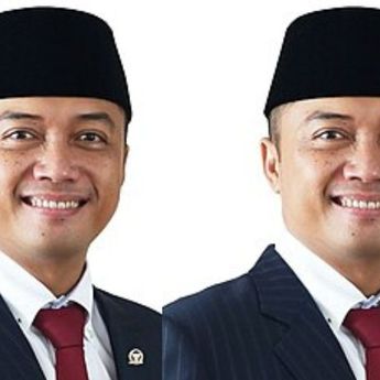 Profil Prasetyo Hadi, Politikus Calon Menteri Prabowo