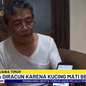 Viral di Media Sosial, Belasan Kucing Mati Mendadak di Malang, Siapa Pelakunya?