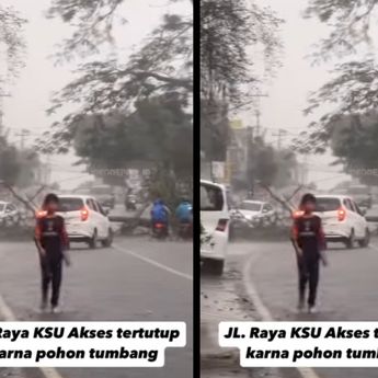 Hujan Deras Disertai Angin Kencang Terjang Depok, Pohon Tumbang di KSU