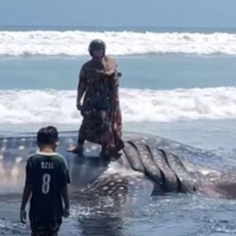 Momen Emak-emak Nekat Berfoto di Atas Bangkai Paus