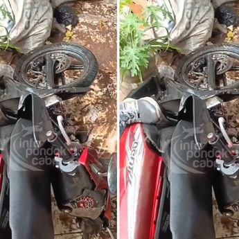 Pengendara Motor Kritis Tertimpa Pohon di Pondok Cabe