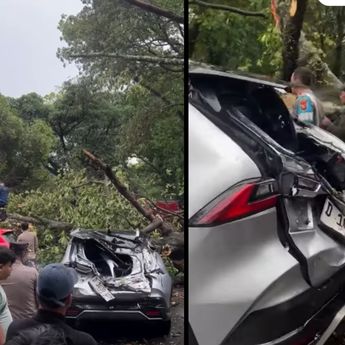 VIDEO: Detik-detik 3 Mobil Ringsek Tertimpa Pohon Tumbang di Bandung