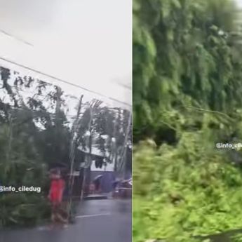 Pohon Tumbang Putus Akses Jalan di Tangerang Akibat Hujan Deras