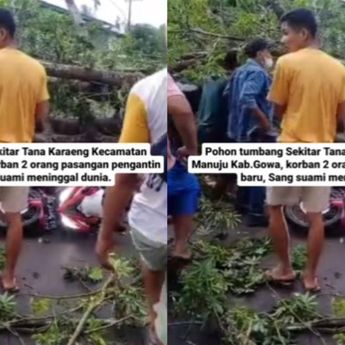 Pria yang Baru Menikah Tewas Tertimpa Pohon Tumbang di Gowa