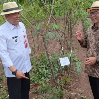 Mendes Pilih Desa di Tangerang Sebagai Proyek Contoh Agrowisata