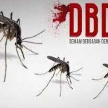 Kemenkes Bicara Soal Lonjakan Kasus Dengue Sepanjang 2024, Begini Faktanya