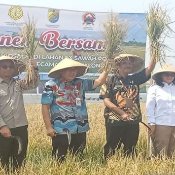 Kementan Soroti Kebutuhan Varietas Unggul Baru Untuk Tanam Padi di Lahan Payau