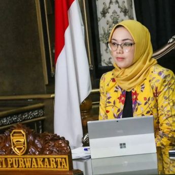 Fakta Anne Ratna Mustika Eks Istri Dedi Mulyadi Hanya Raih 7% Suara di Pilbup Purwakarta