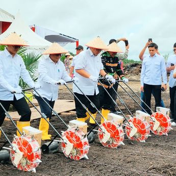 Kementan Gandeng PTPN Optimalkan Lahan Perkebunan untuk Tumpang Sari Padi Gogo