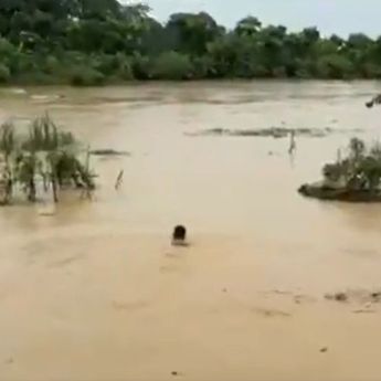 Aksi Heroik Briptu Yohanes Abdi Sibarani, Selamatkan Lansia di Tengah Banjir Besar