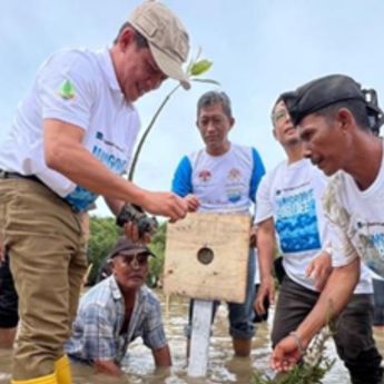 Freeport Indonesia Pulihkan Ekosistem Mangrove Lewat Program "Mangrove for Life"