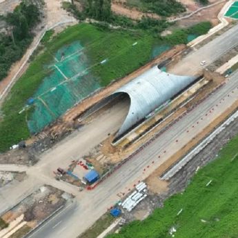 IKN Bangun Terowongan Perlintasan Satwa Buat Jalan Beruang Madu