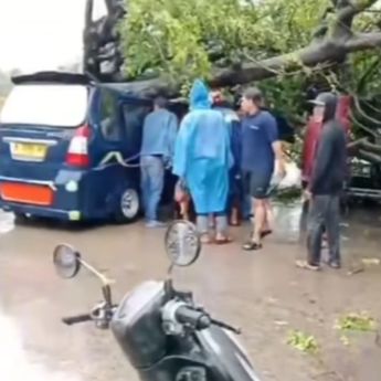 Innalillahi, Angkot Tertimpa Pohon Tumbang Nasib Sopir Mengenaskan