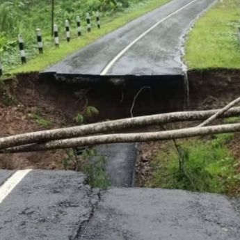 Sukabumi Dilanda Longsor dan Pohon Tumbang, Dua Jalur Utama Lumpuh