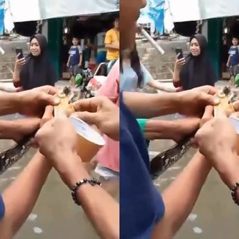 Ular Piton Tiba-tiba Muncul Saat Banjir Rob Kepung Pluit