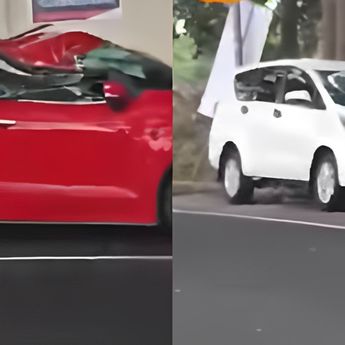 Akibat Angin Kencang Dua Mobil Tertimpa Pohon di Jalan Mayjen Sungkono Malang