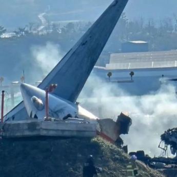 Jepang Bantu Ungkap Penyebab Jatuhnya Pesawat Jeju Air