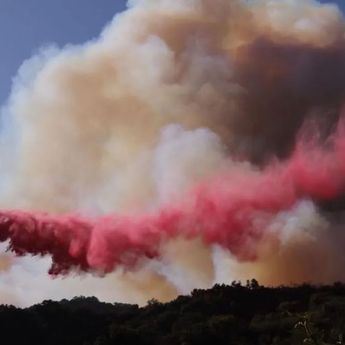 Petugas Damkar Masih Berjuang Tangani Kebakaran Hutan Ekstrem di Los Angeles