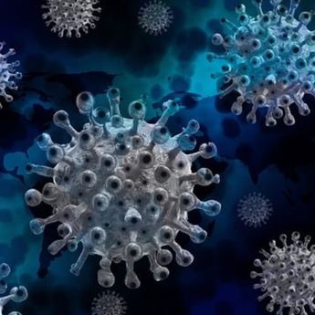 Apa Itu Virus Marburg yang Tewaskan 8 Orang di Tanzania dan Bisa Menular Lewat Kelelawar?