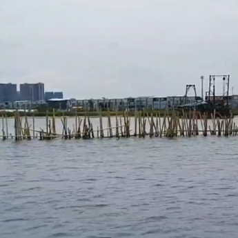 Pemkot Jakut Sebut Tak Tahu Menahu soal Pagar Laut di Kamal Muara