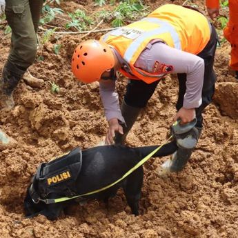 Anjing Hitam Ini Temukan Bayi Tertimbun Longsor di Pekalongan