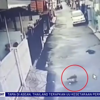 Keji! Pria di Kelapa Gading Tembak Kucing Pakai Senapan Angin, Ternyata Gegara Ini