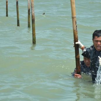 Pagar Laut Dibongkar Sepanjang 22,5, TNI AL Perkuat Pengawasan Perbatasan Laut