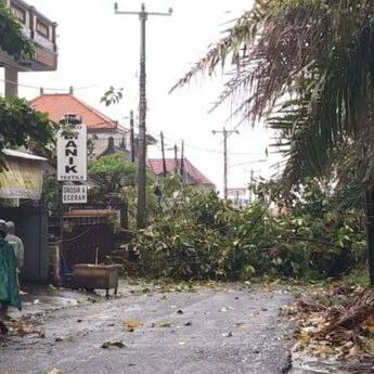 Waspadai Dampak Angin Kencang di Bali, BBMKG Keluarkan Peringatan