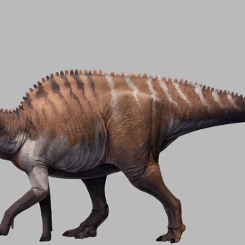 Fosil Dinosaurus Lambeosaurinae Ditemukan di China Selatan