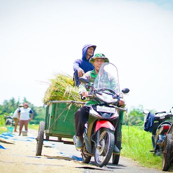 Filipina Umumkan Darurat Pangan, Pemerintah Pastikan Ketahanan RI Terjaga