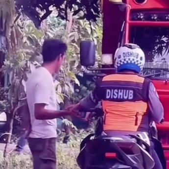 Viral Petugas Dishub Palak Sopir Truk di Sulsel